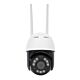 Telecamera di videosorveglianza wireless PNI IP845, Black Light, WiFi, PTZ, slot micro SD da 4 MP, standalone, app ICSee