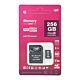 Scheda di memoria MicroSD PNI 256GB