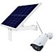Telecamera di videosorveglianza wireless PNI IP52LR e pannelli solari fotovoltaici PNI PSF6020A