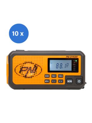 radio portatile PNI DYN300