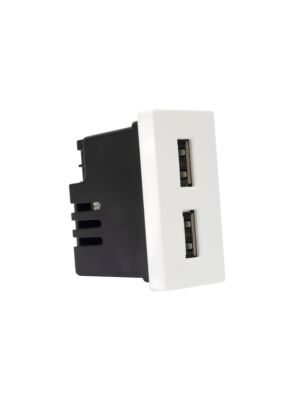 Doppia presa USB PNI UB20