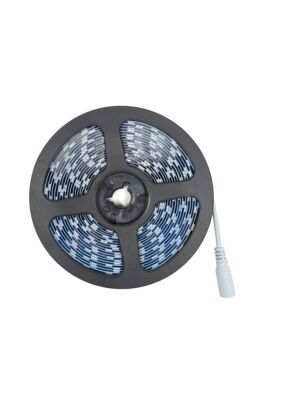 Striscia led 5M W5050 bianco freddo con telecomando